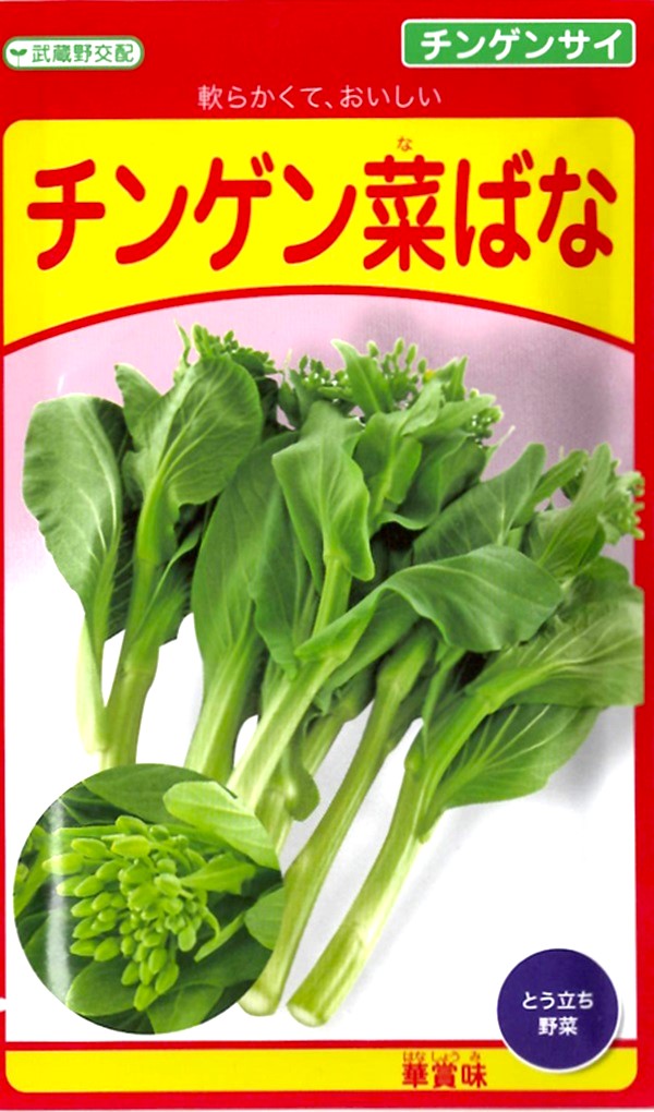 チンゲン菜ばな