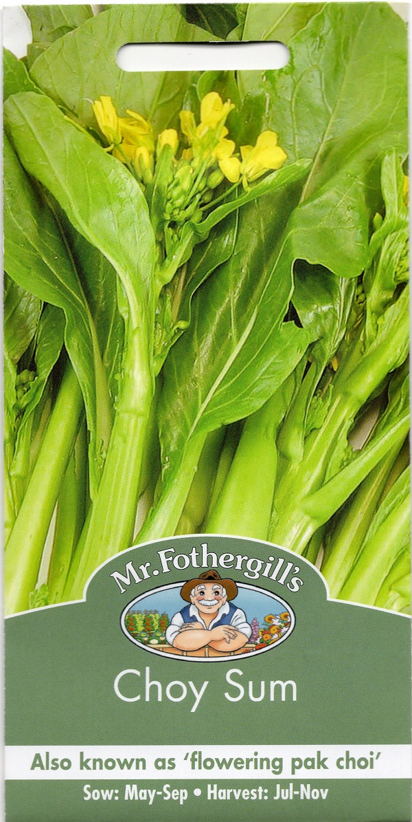 Choy Sum チョイ・サム