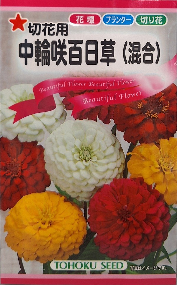 切花用 中輪咲百日草(混合) トーホク
