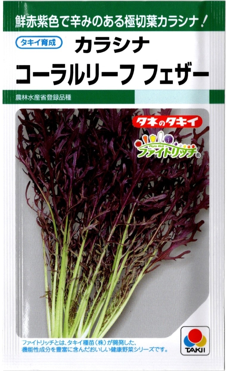 コーラルリーフフェザー