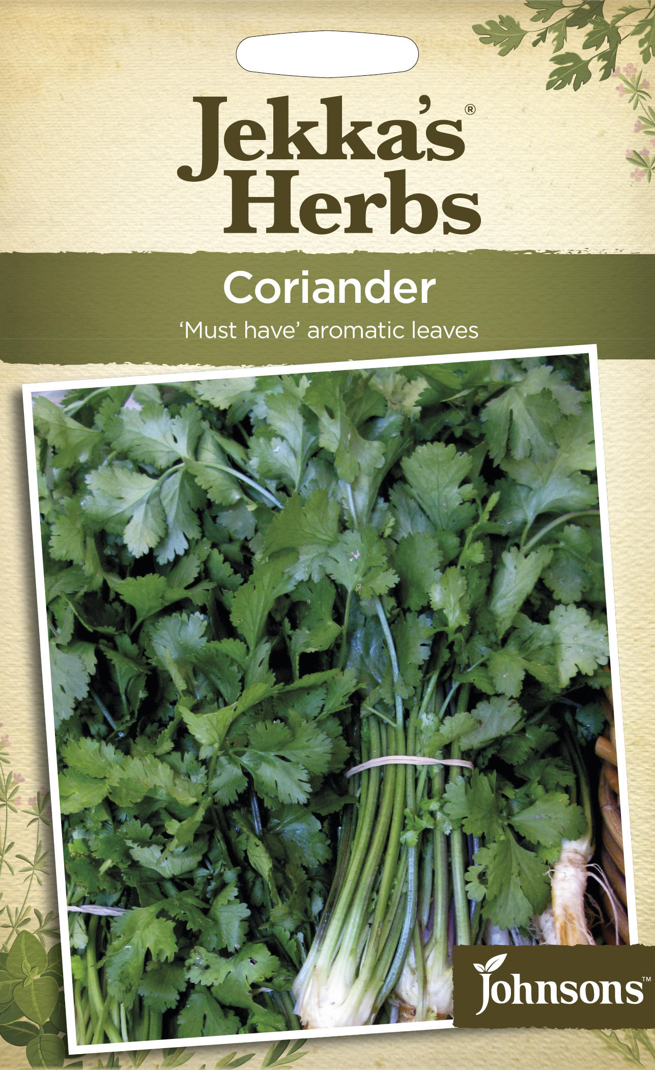 coriander