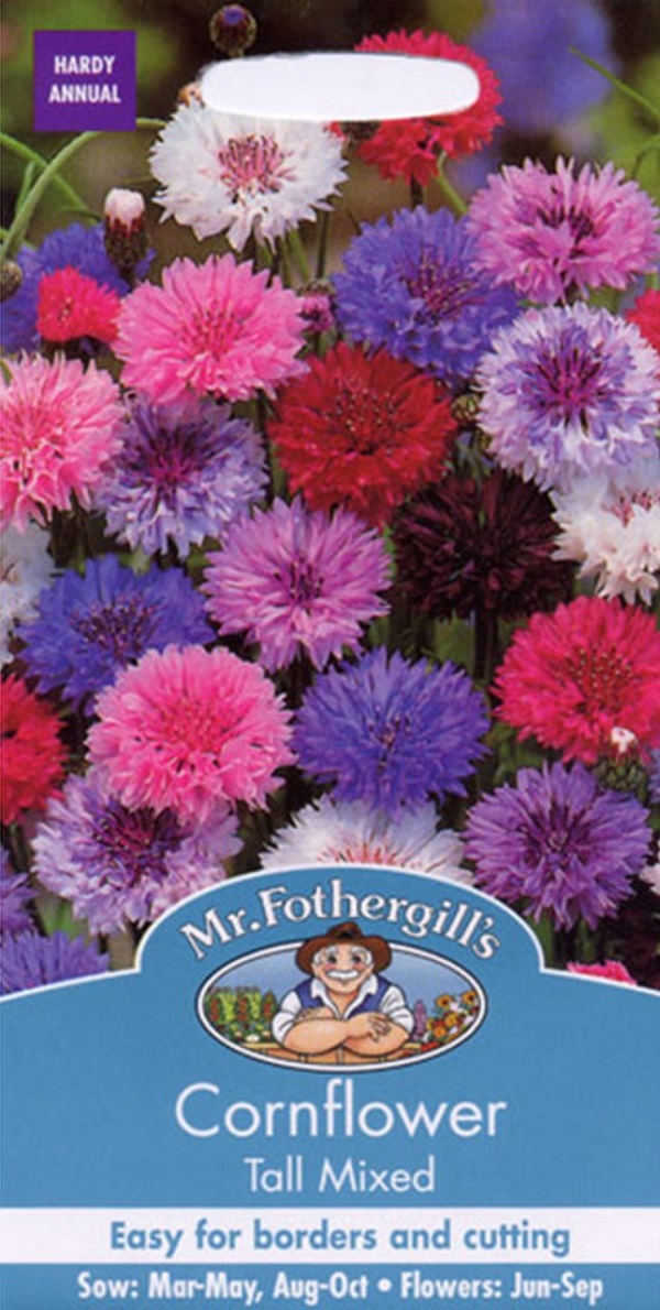 cornflower tall mixed
