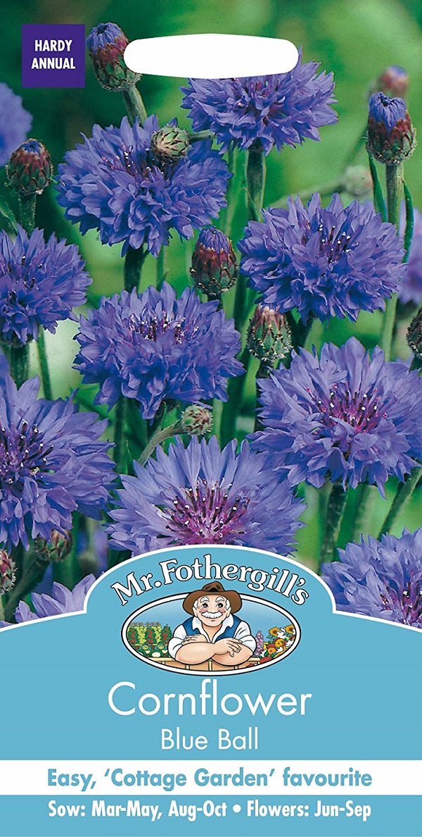 輸入種子】 Mr.Fothergill's Seeds Cornflower Blue Ball コーン