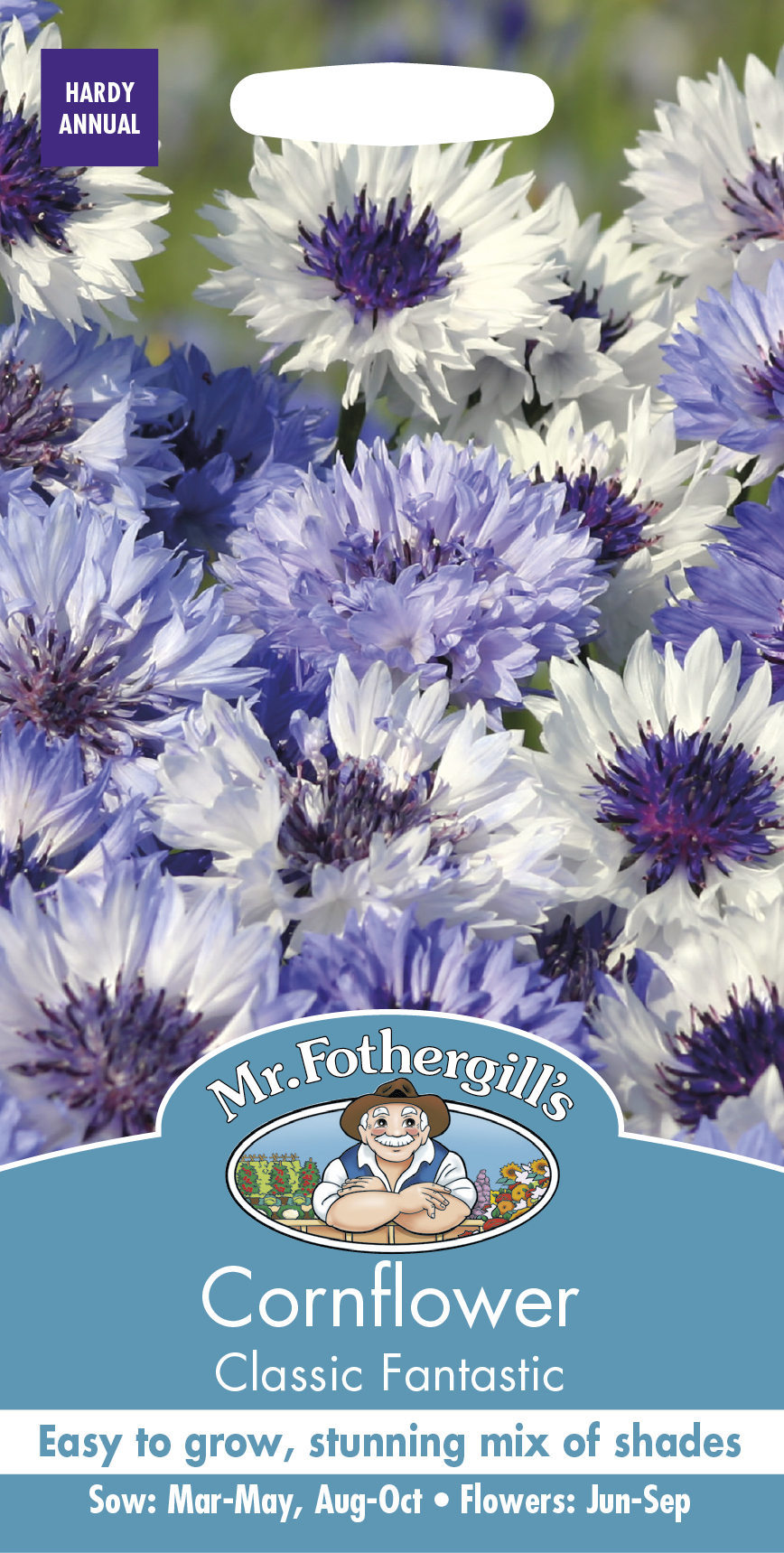 コーンフラワー