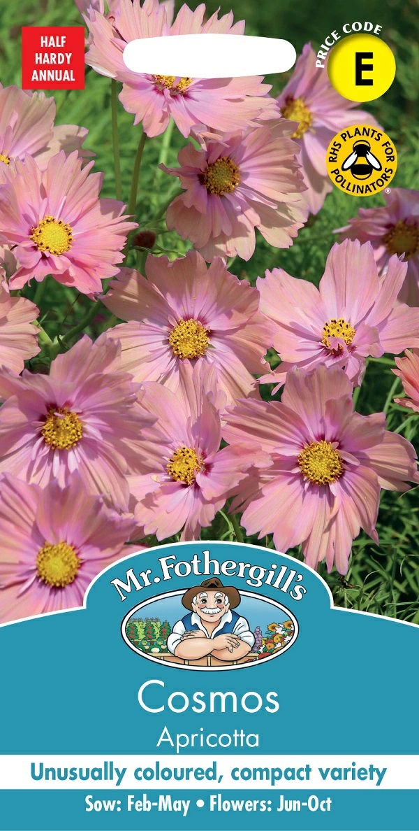 コスモス アプリコッタ