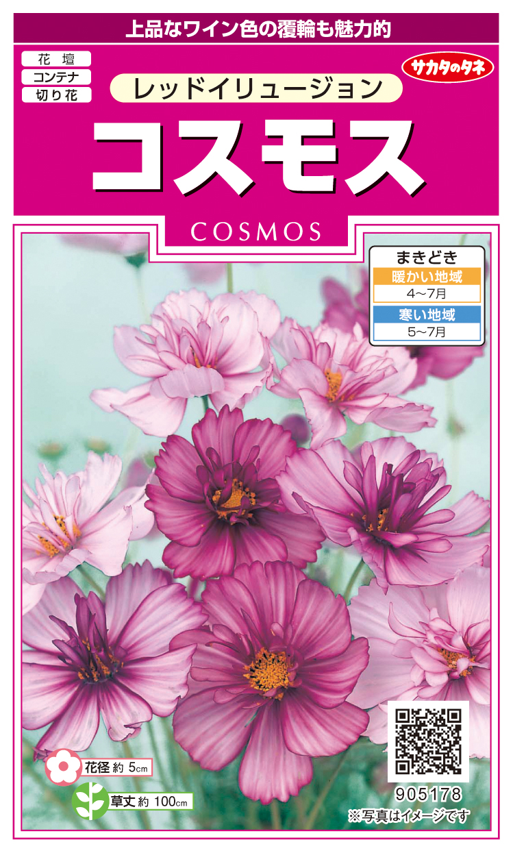 コスモスレッドイリュージョン