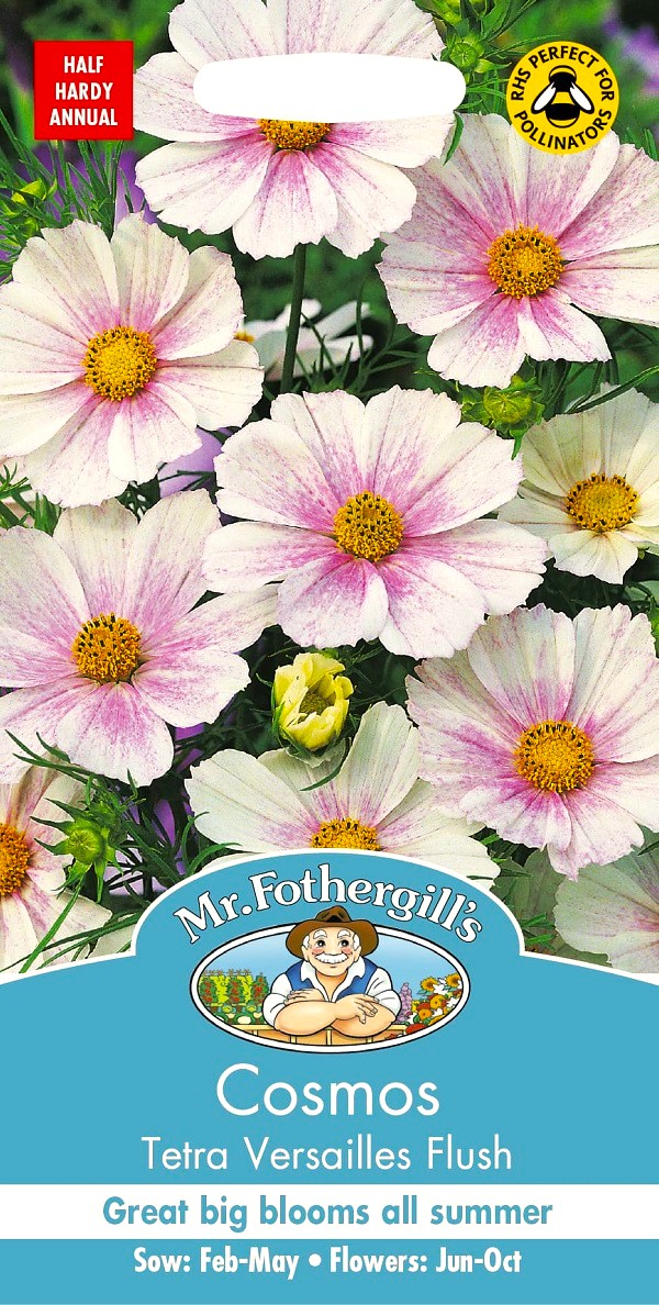 種子】Mr.Fothergill's Seeds Cosmos Tetra Versailles Flush コスモス
