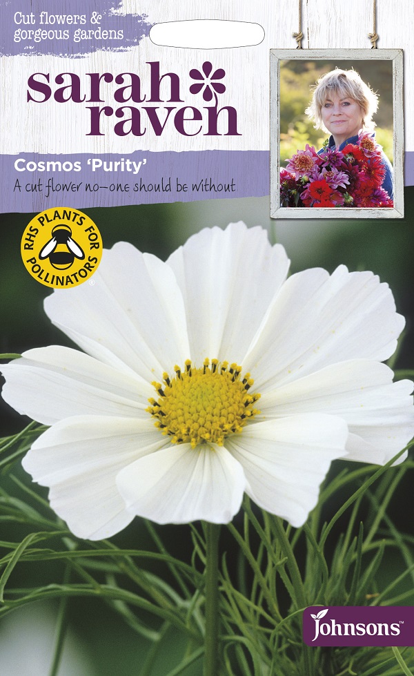 Cosmos Purity