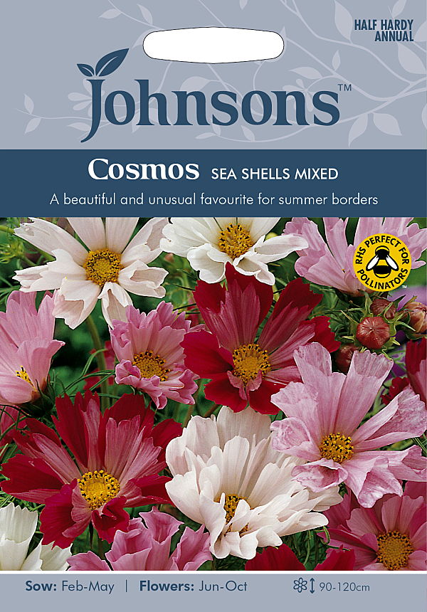 コスモス シーシェルミックス