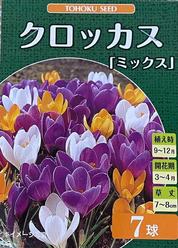 クロッカス　ミックス