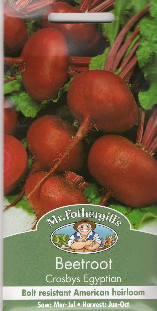 ビートルート・クロスビーズ・エジプシャン