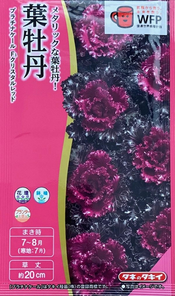 葉牡丹 プラチナケール F1 クリスタルレッド