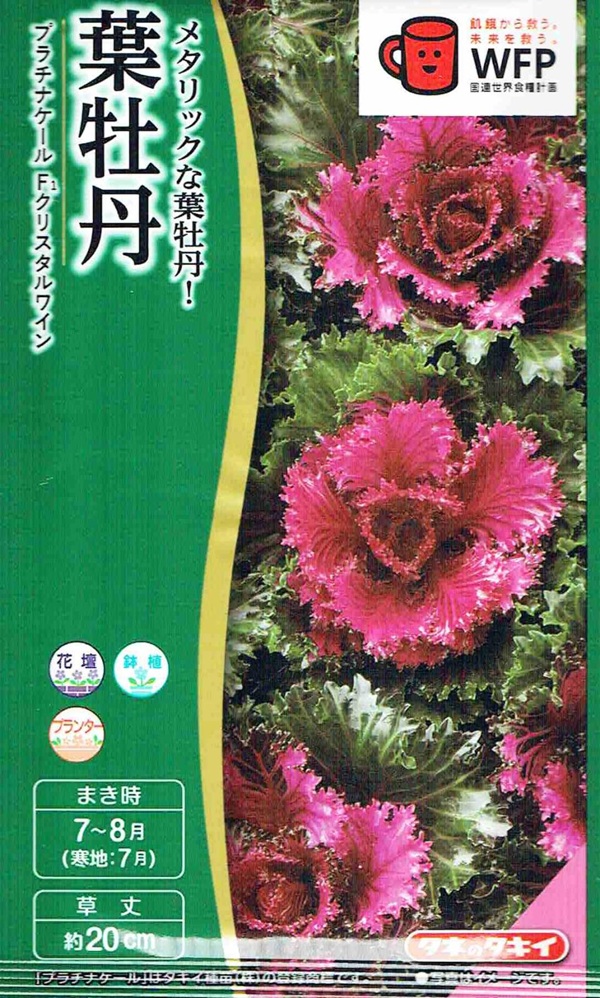 葉牡丹　クリスタルワイン