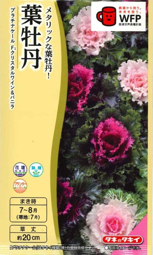 葉牡丹　クリスタルワイン＆バニラ