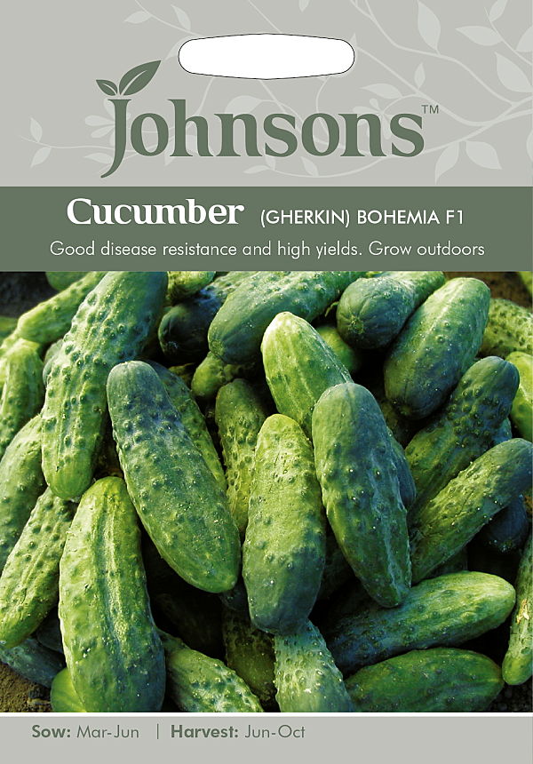 キューカンバー（ガーキン）・ボヘミア・F1
