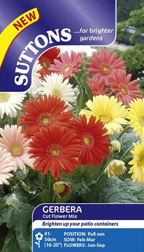 ガーベラカットフラワーミックス