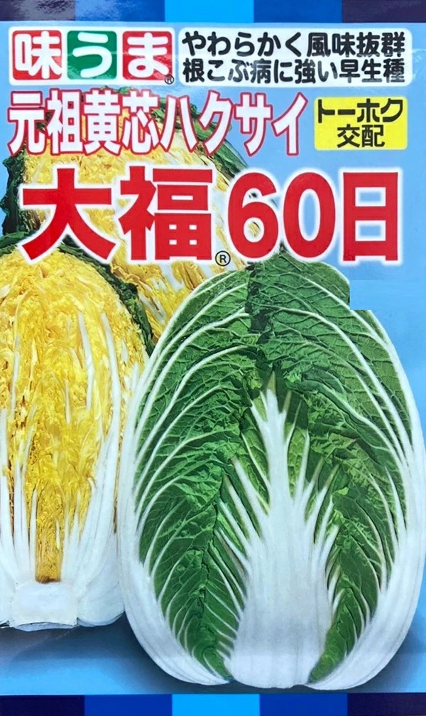 【種子】 元祖黄芯ハクサイ 大福60日 トーホクのタネ