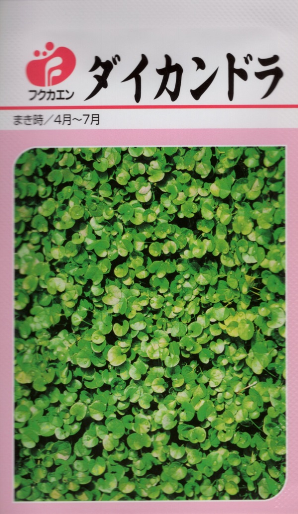 ダイカンドラ