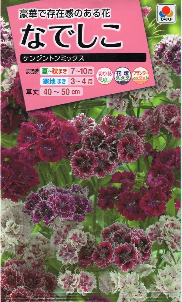 なでしこ　ケンジントンミックス