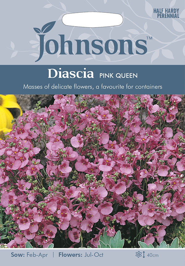 ディアスキア・ピンク・クイーン