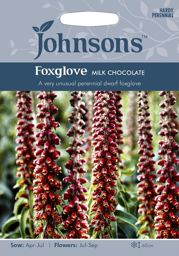 ジギタリス（フォックスグローブ）・パービフローラ・ミルク・チョコレート