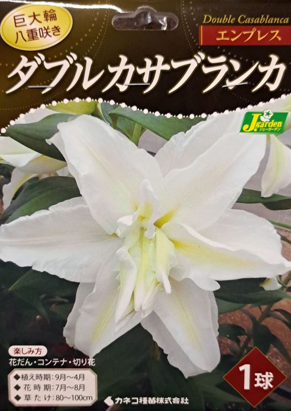 ダブルカサブランカ エンプレス