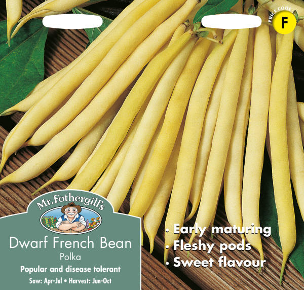 ドワーフビーン・ポルカ