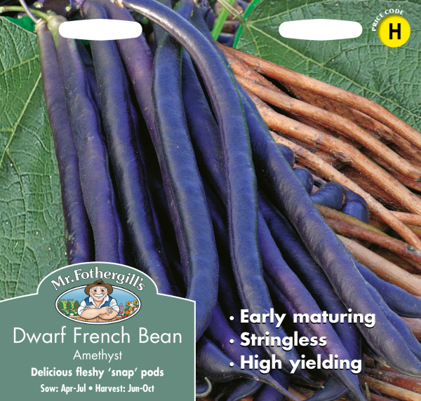 dwarf_bean_amethyst