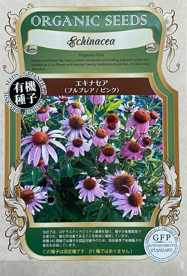 エキナセア　プルプレアピンク