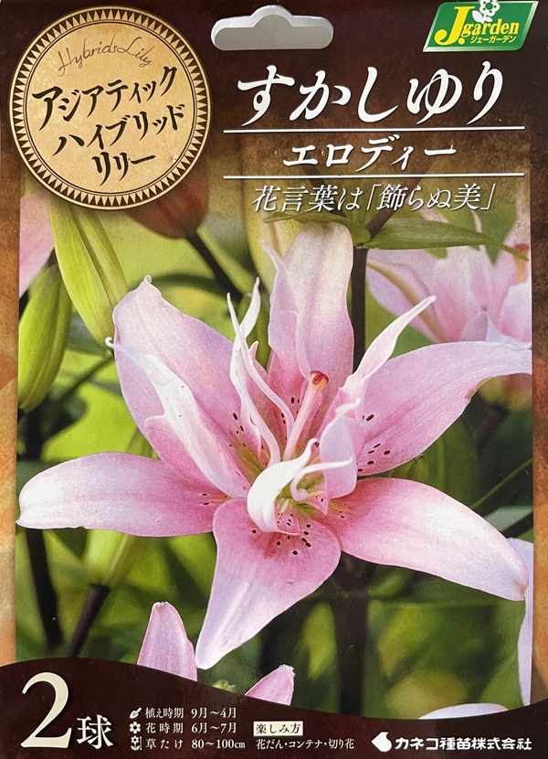 八重咲すかしゆり エロディー