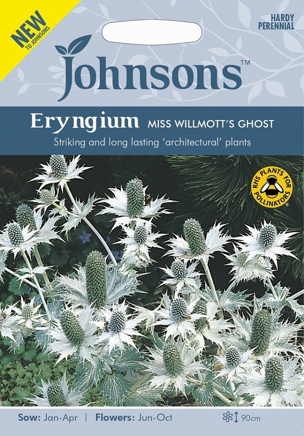 輸入種子 Johnsons Seeds Eryngium Miss Willmotts Ghost エリンジューム ミス ウイルモッツ ゴースト ジョンソンズシード