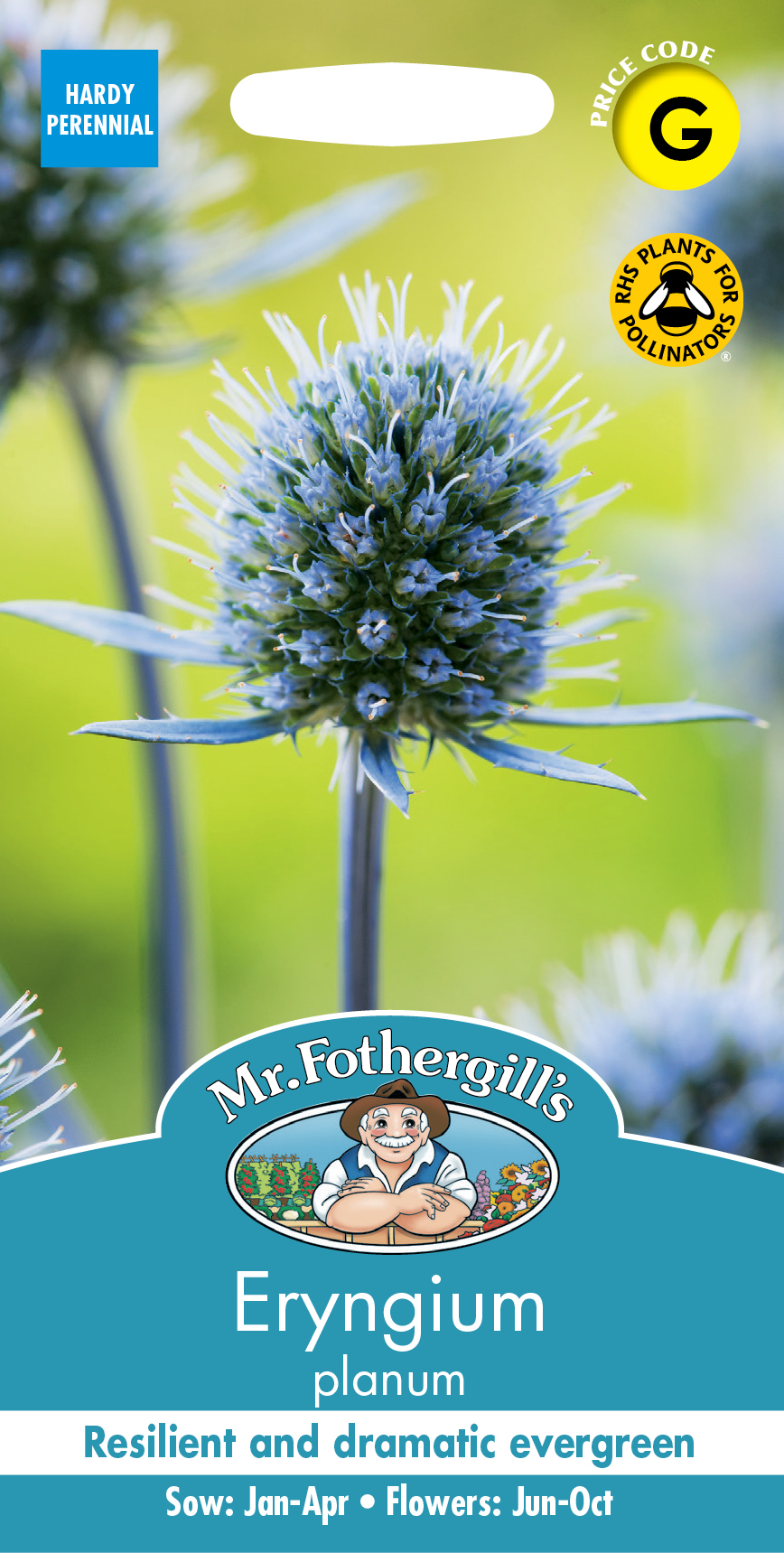 エリンジューム・プラナム