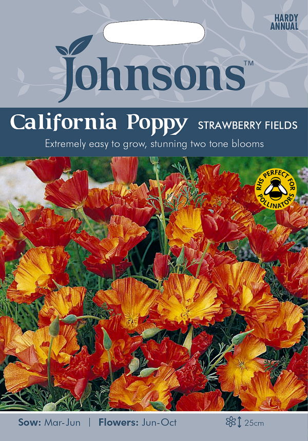 カリフォルニアポピー(エスコルシア)・ストロベリー・フィールド