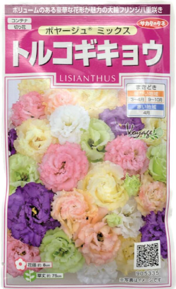 トルコギキョウ　ボヤージュミックス