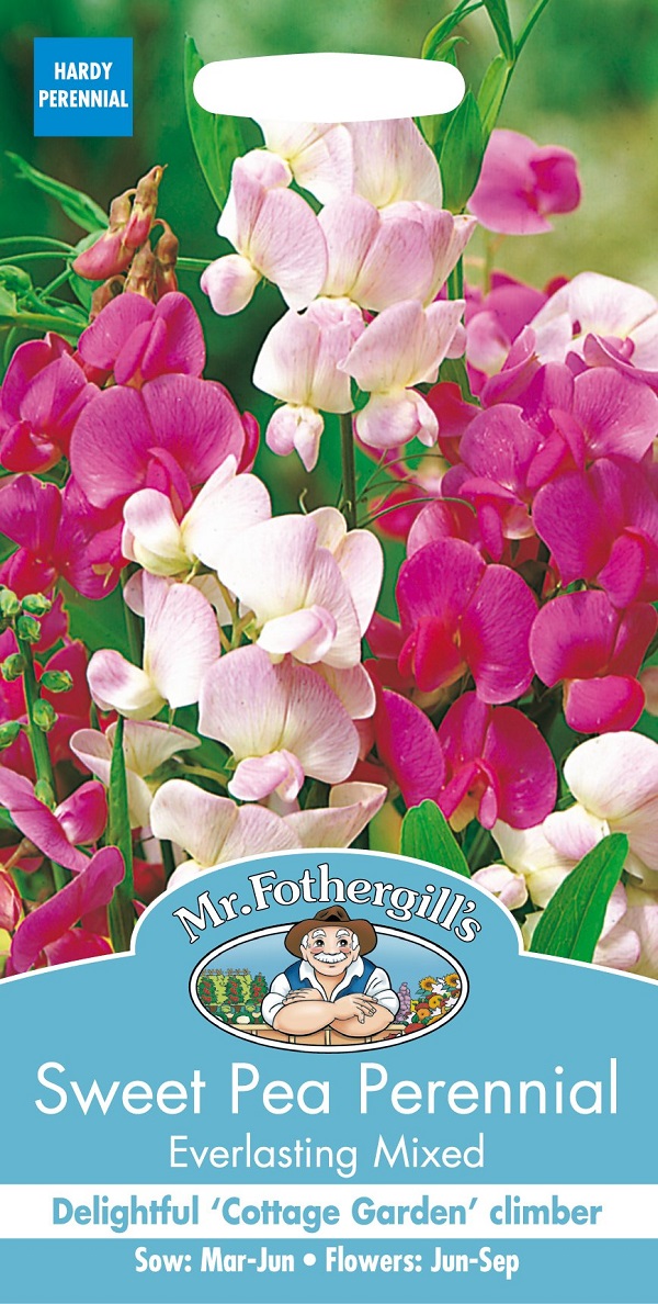 SweetPea everlasting mixed