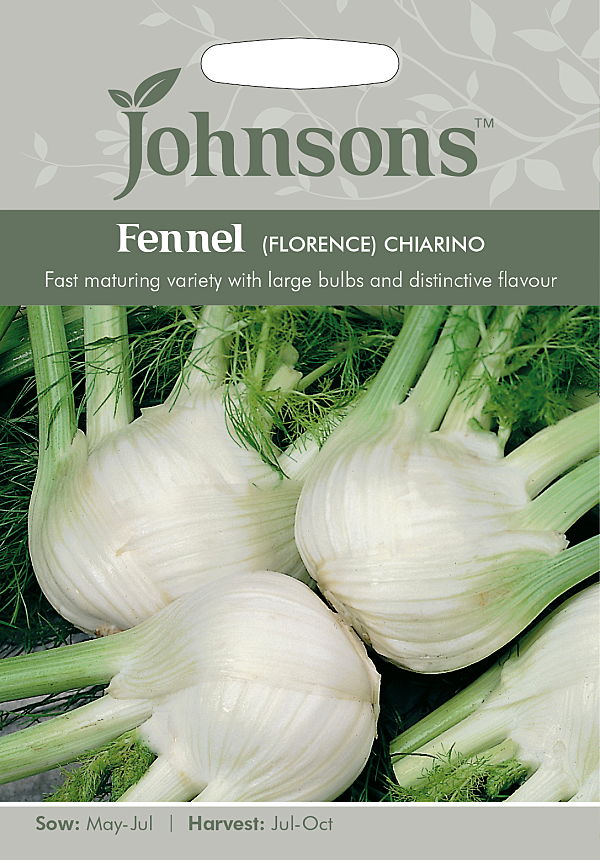 fennel florence chiarino