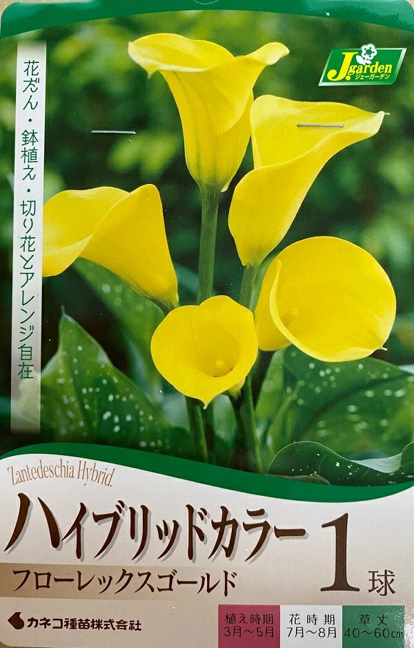 ハイブリッドカラー フローレックスゴールド 1球入