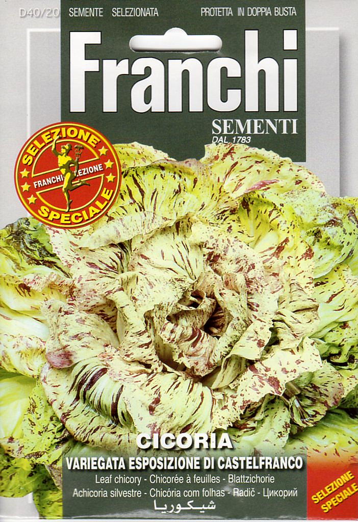 リーフチコリー