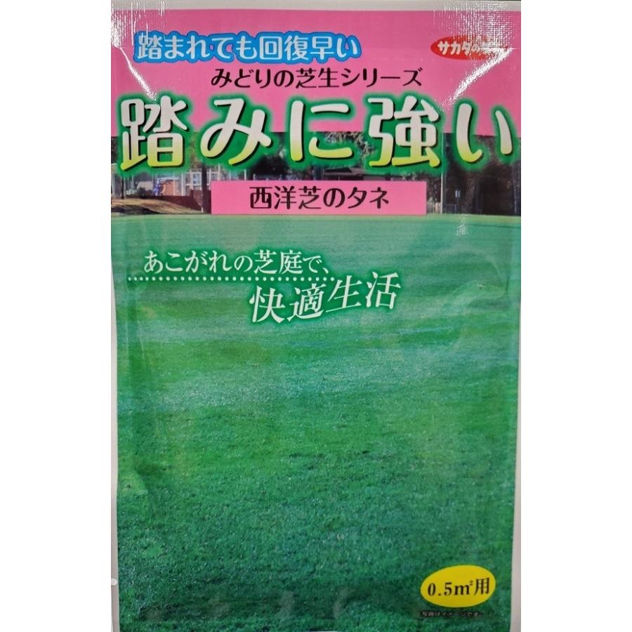 踏み強い芝