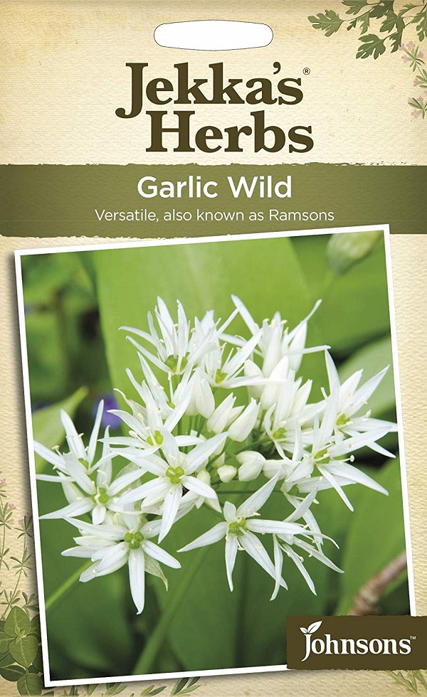 ガーリック・ワイルド（ラムソン）