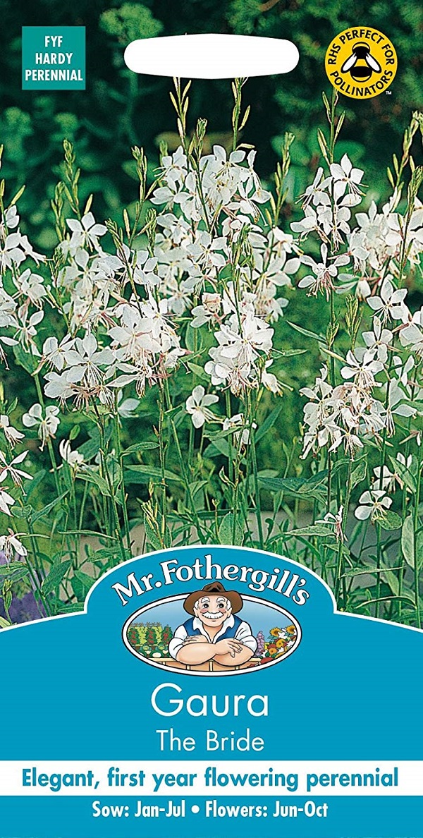 【輸入種子】 Mr.Fothergill's Seeds Gaura The Bride ガウラ ザ・ブライド