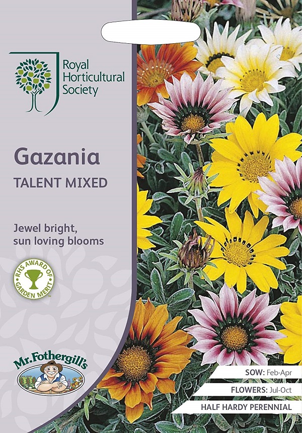 gazania talent mixed
