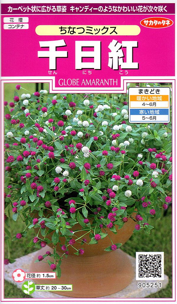 千日紅　ちなつミックス