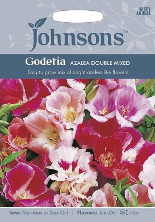 ゴデチヤ アザレア・ダブル・ミックス