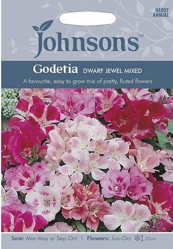 ゴデチヤ ドワーフ・ジュエル・ミックス