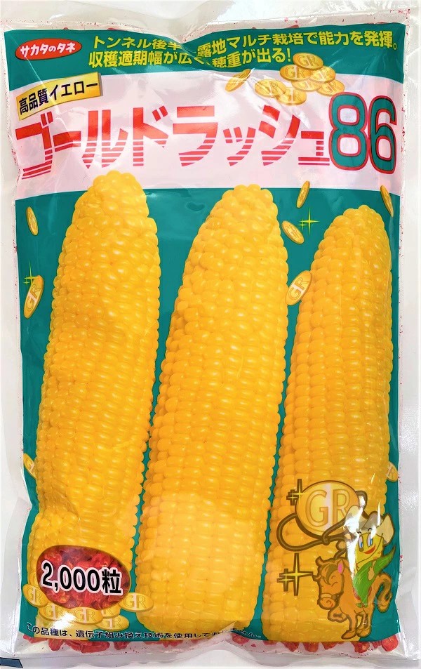 野菜種子 サカタ交配スイートコーン ゴールドラッシュ86 2,000粒入