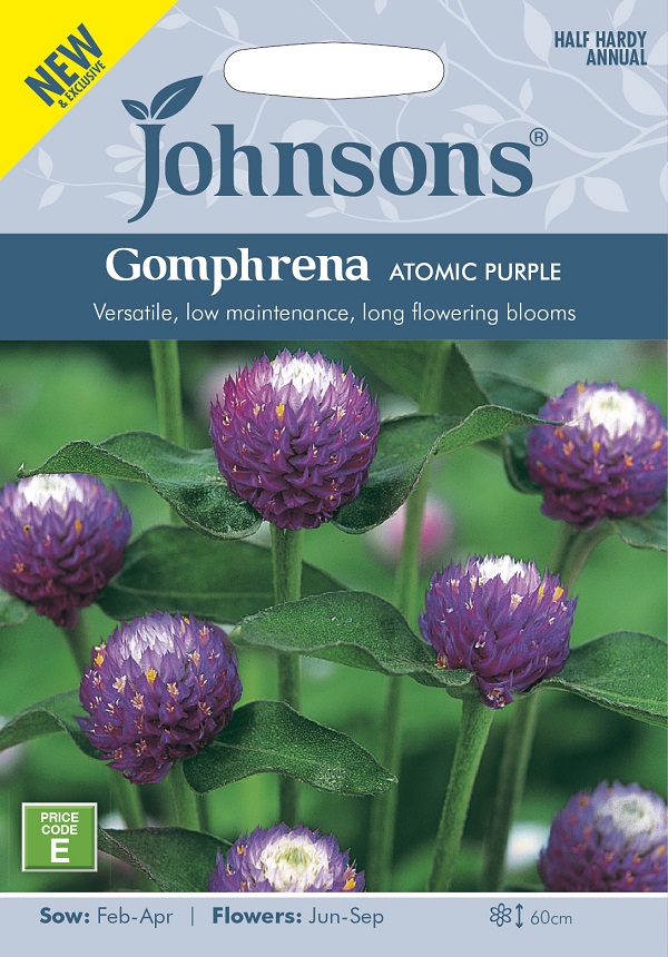 ゴンフレーナ(千日紅) アトミックパープル