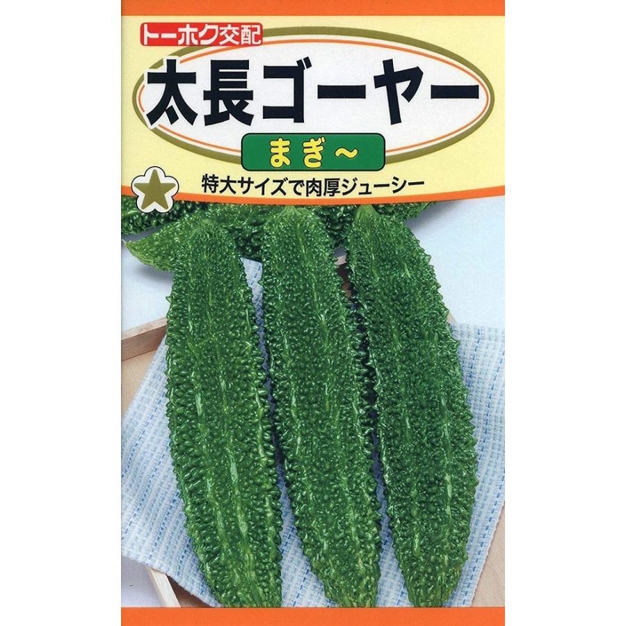 野菜種子 太長ゴーヤー まぎ～ トーホクのタネ