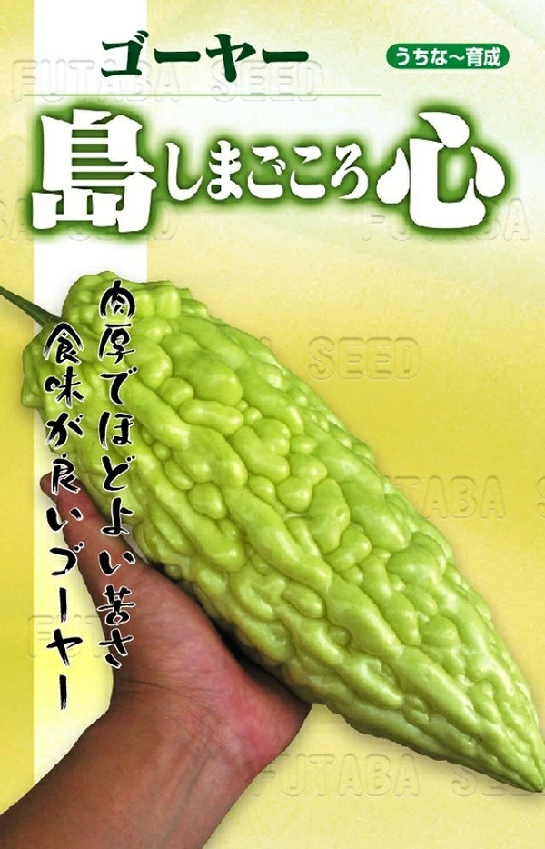 ゴーヤ　島心