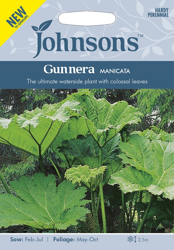 gunnera